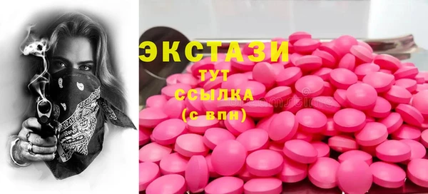 индика Беломорск
