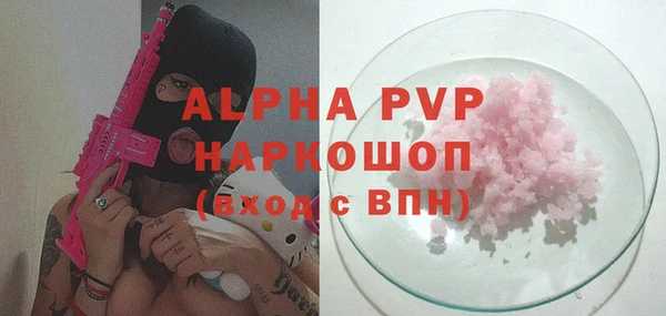 индика Беломорск