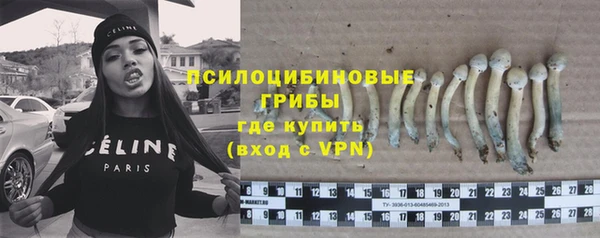 тгк Белокуриха