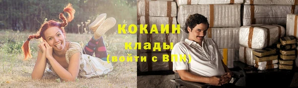 тгк Белокуриха