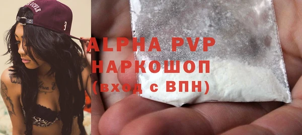 индика Беломорск