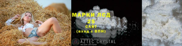 индика Беломорск
