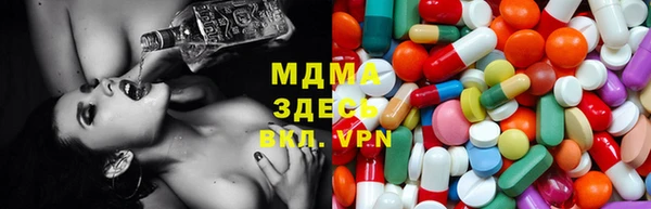 индика Беломорск