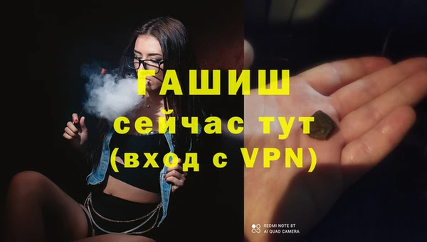 индика Беломорск