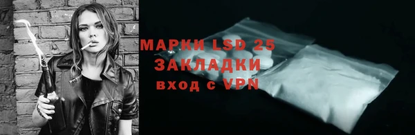 индика Беломорск