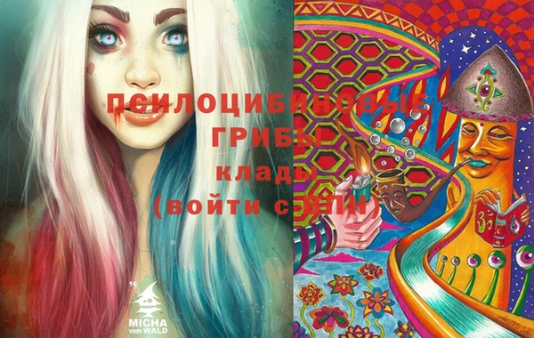 тгк Белокуриха