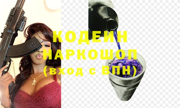 индика Беломорск