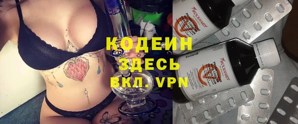 индика Беломорск