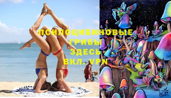 индика Беломорск