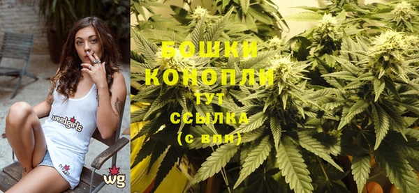 индика Беломорск