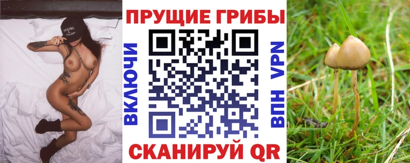 Галлюциногенные грибы MAGIC MUSHROOMS  Кузнецк 
